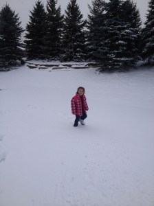 Until this picture, McKayla honestly believed that if you wanted to see snow you just went to the mall...thanks to Ski Dubai!  We got to go see our Dubai Family in Michigan for New Years!